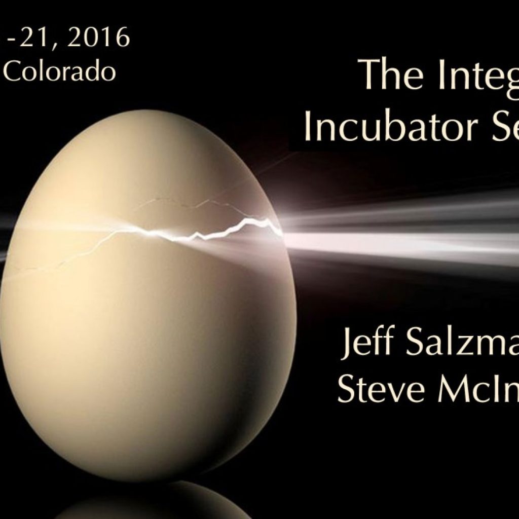 ICE Announces Integral Seminar by McIntosh and Salzman